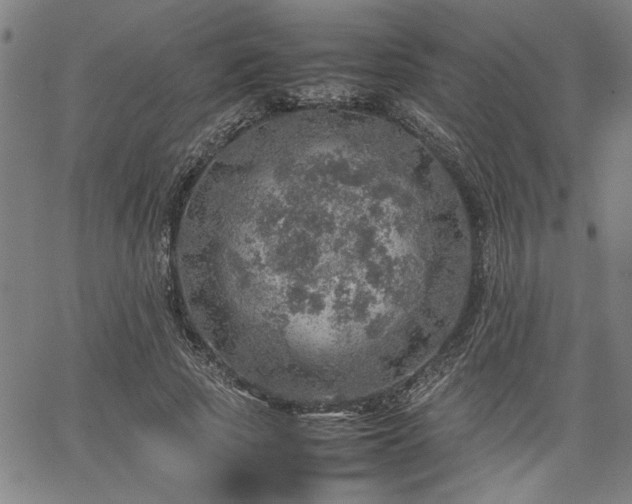 X0000067480737200604071138