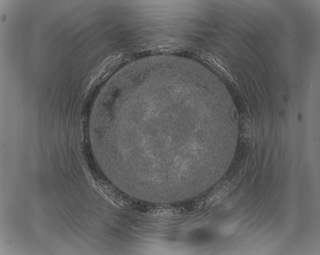 X0000067480738200604071138