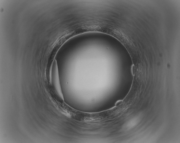 X0000067480739200604071138