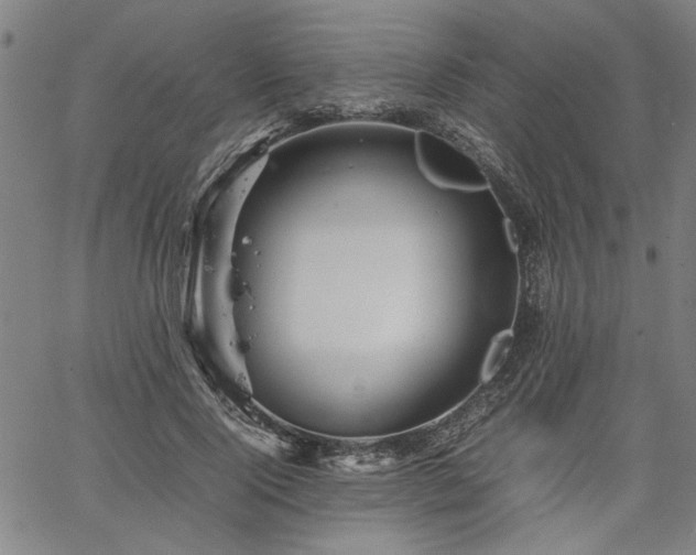 X0000067480740200604071138