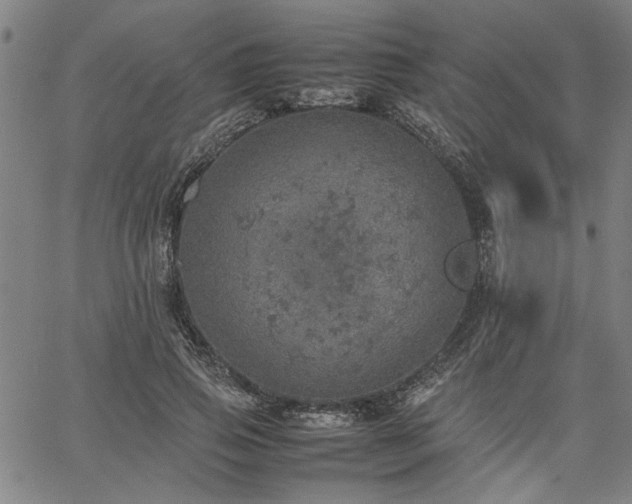 X0000067480741200604071138