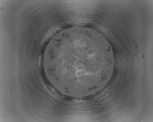 X0000067480742200604071138