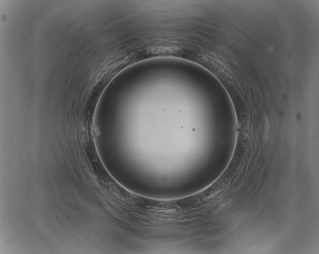 X0000067480743200604071138