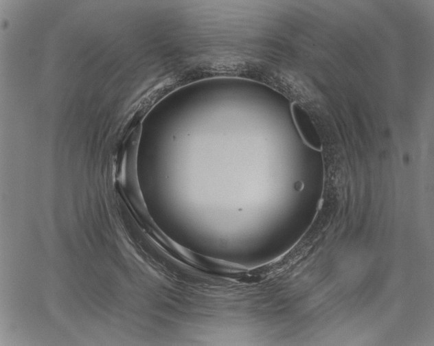 X0000067480744200604071138