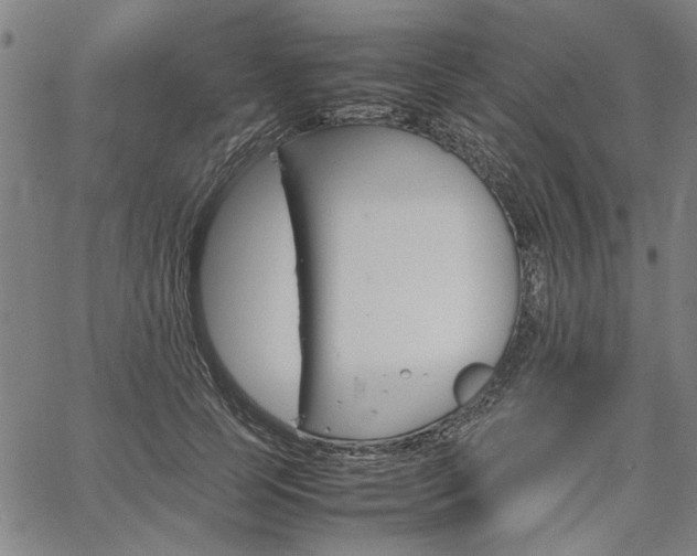 X0000067480745200604071138