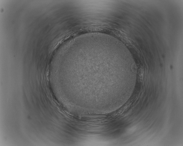 X0000067480746200604071138