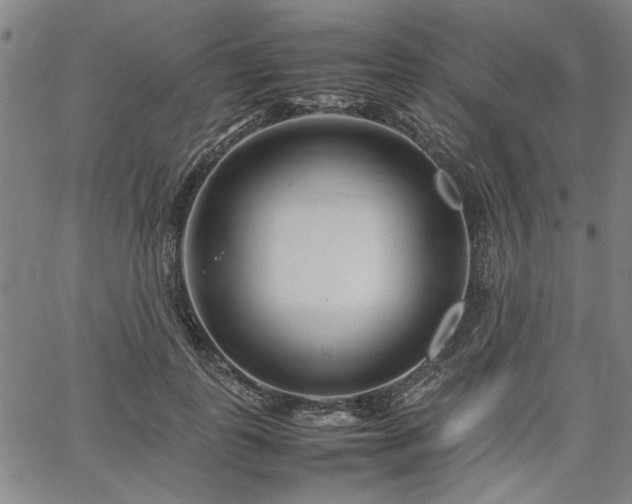 X0000067480747200604071138