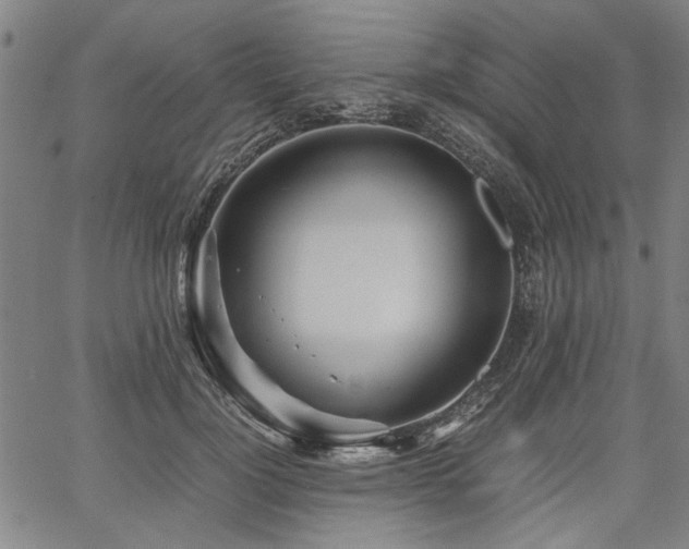 X0000067480748200604071138