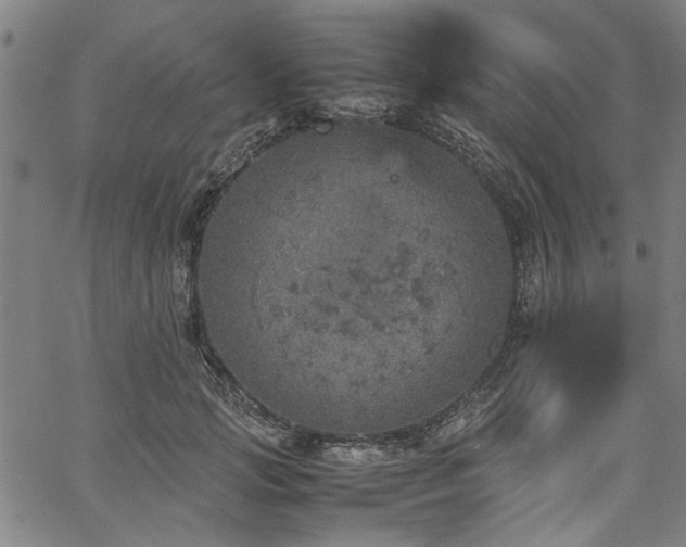 X0000067480749200604071138