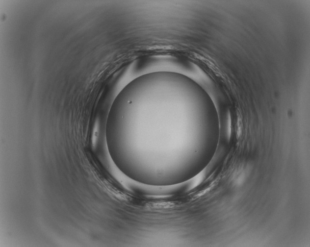 X0000067480750200604071138