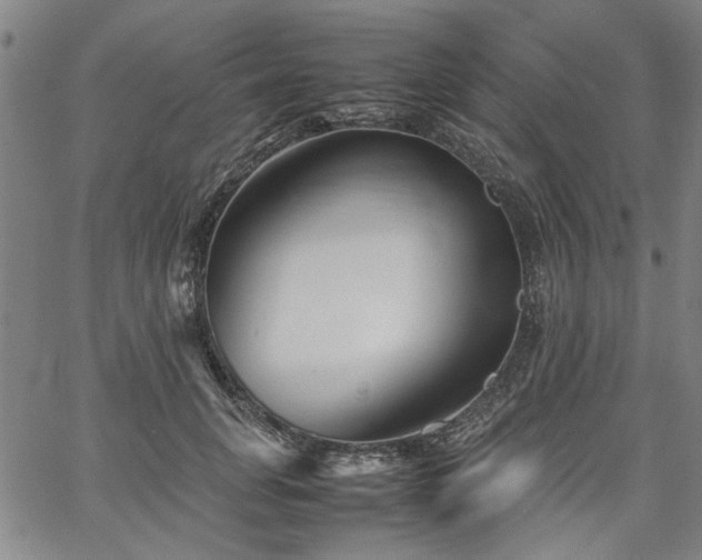 X0000067480751200604071138