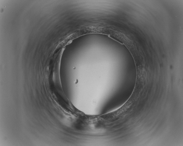 X0000067480752200604071138