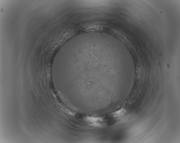 X0000067480753200604071138