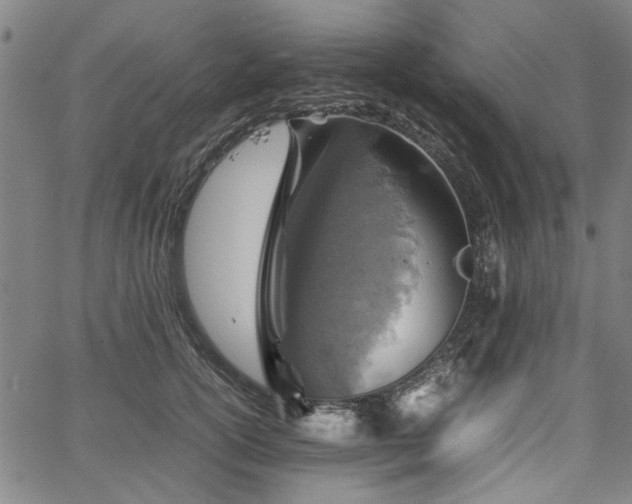 X0000067480754200604071138