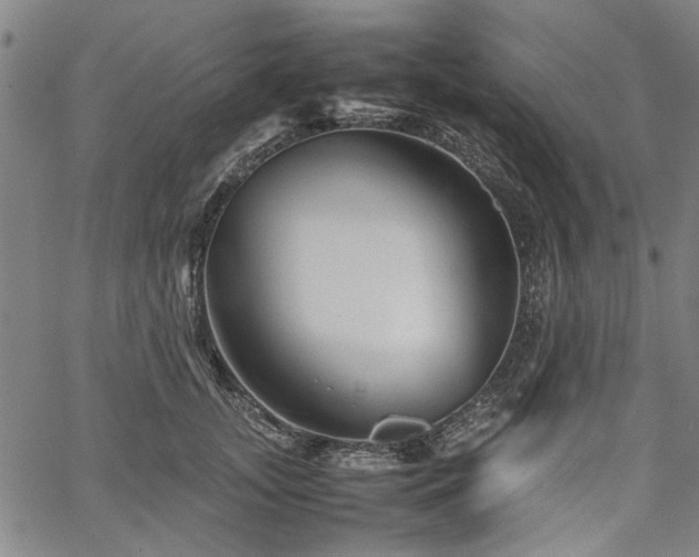 X0000067480755200604071138