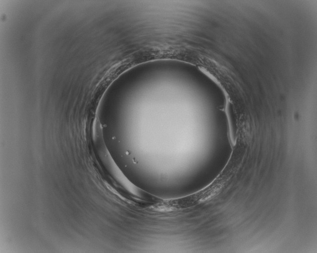 X0000067480756200604071138