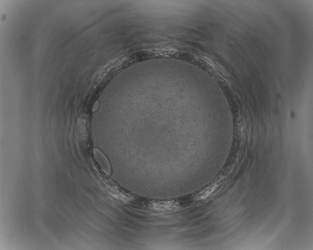 X0000067480757200604071138