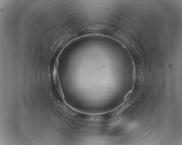 X0000067480758200604071138