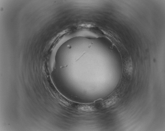 X0000067480759200604071138