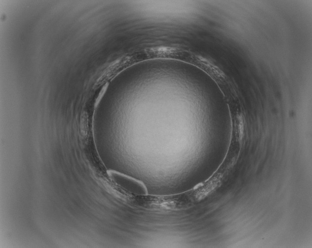 X0000067480760200604071138