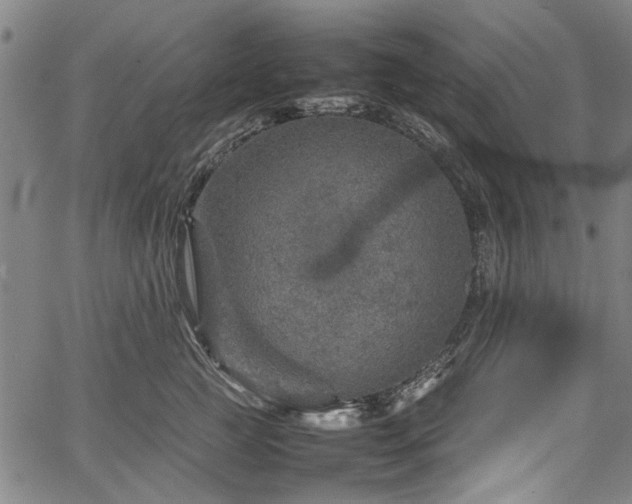 X0000067480761200604071139