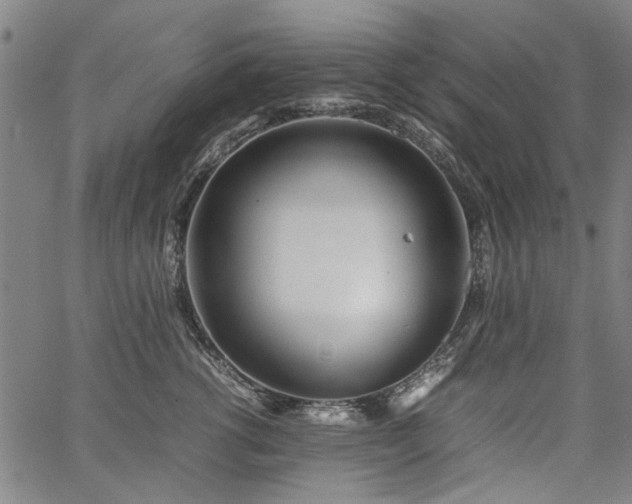 X0000067480762200604071139