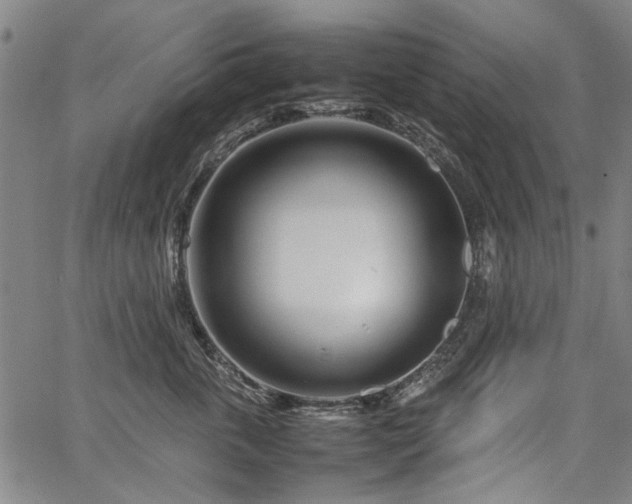 X0000067480763200604071139