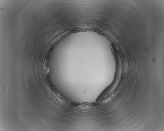 X0000067480764200604071139