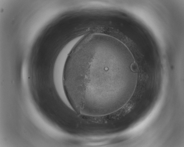 X0000067480765200604071139