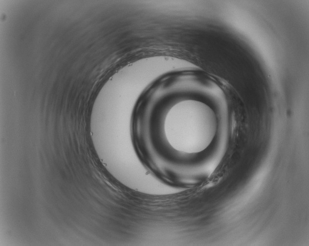 X0000067480766200604071139