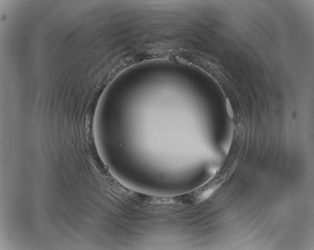 X0000067480767200604071139