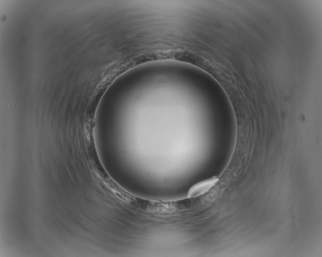 X0000067480768200604071139