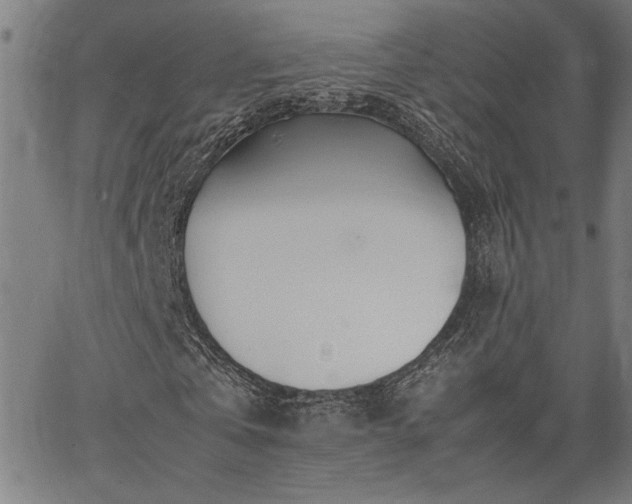 X0000067480769200604071138