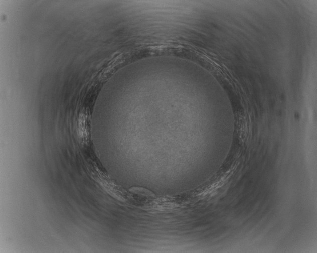 X0000067480770200604071138