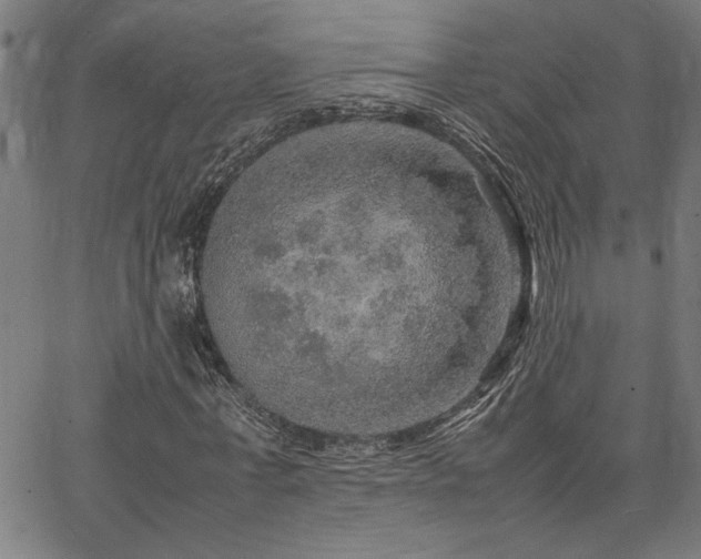 X0000067480771200604071138