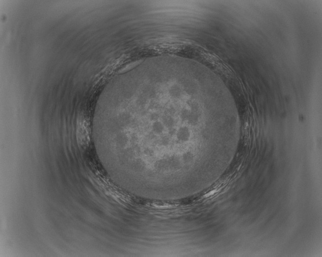 X0000067480772200604071138