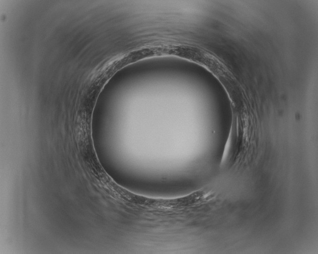 X0000067480773200604071138