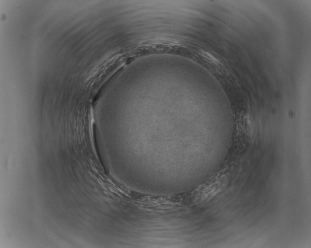 X0000067480774200604071138