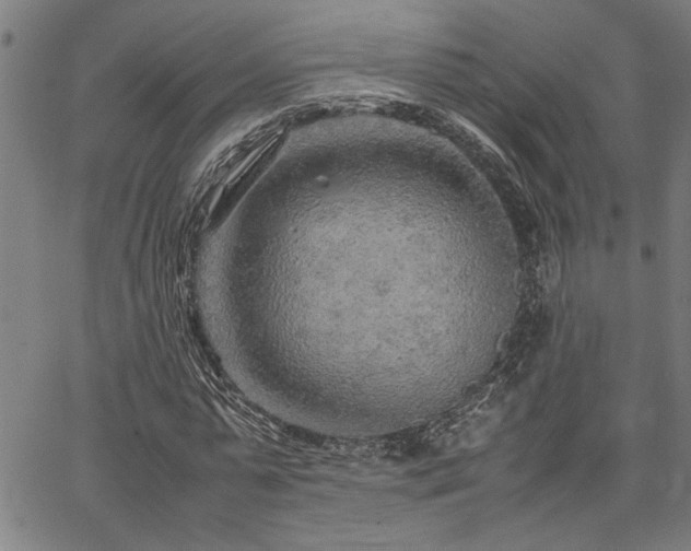 X0000067480775200604071138