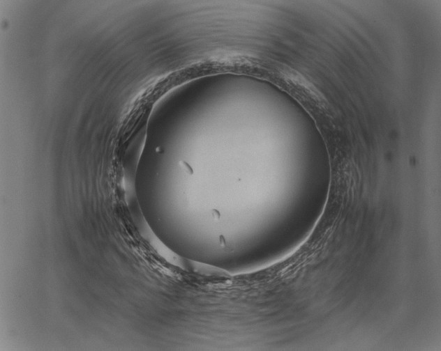 X0000067480776200604071138