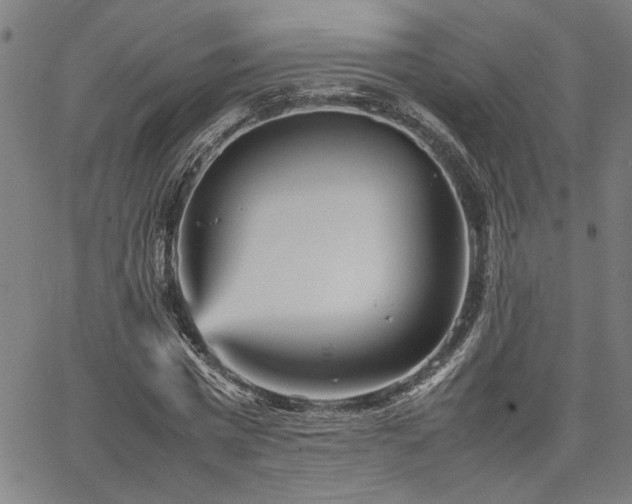 X0000067480777200604071138