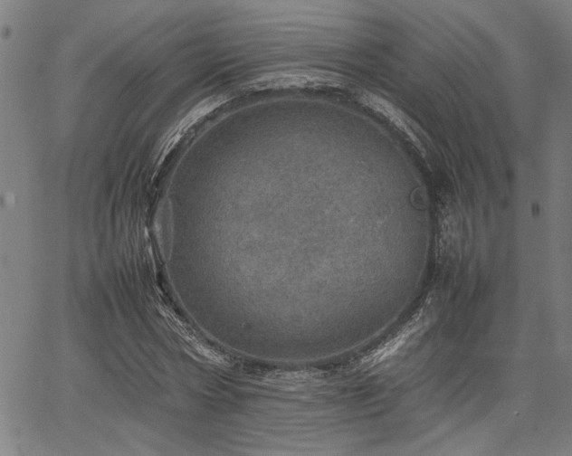 X0000067480778200604071138