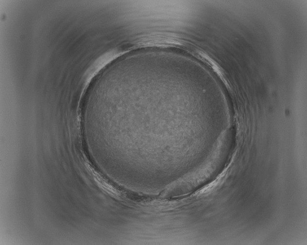 X0000067480779200604071138