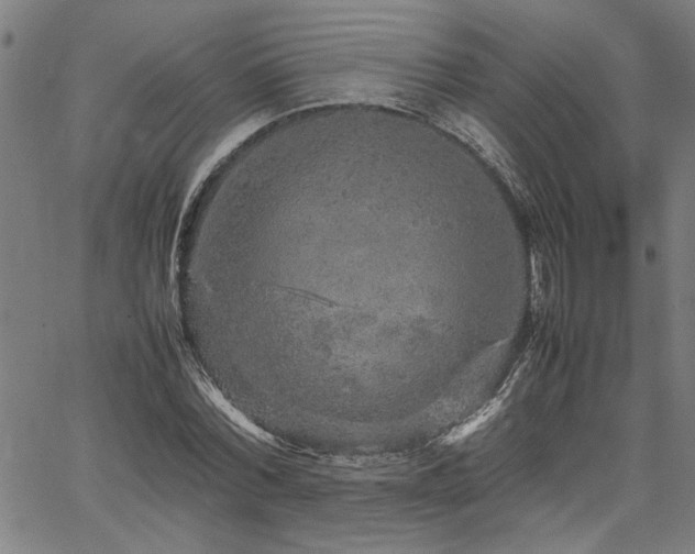 X0000067480780200604071138