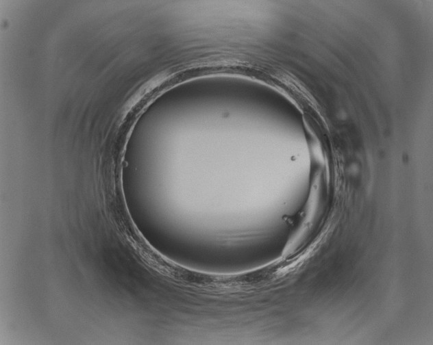 X0000067480781200604071138