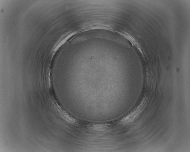 X0000067480782200604071138