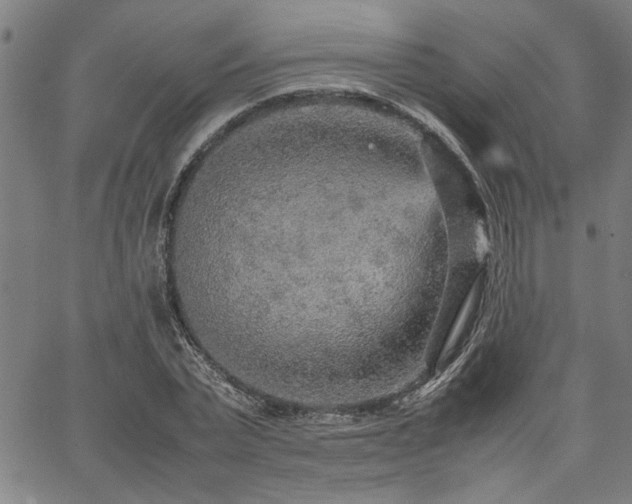 X0000067480783200604071138