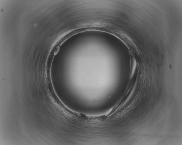 X0000067480784200604071138