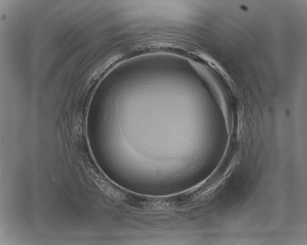 X0000067480785200604071138