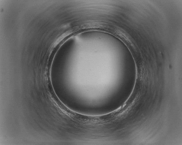 X0000067480786200604071138